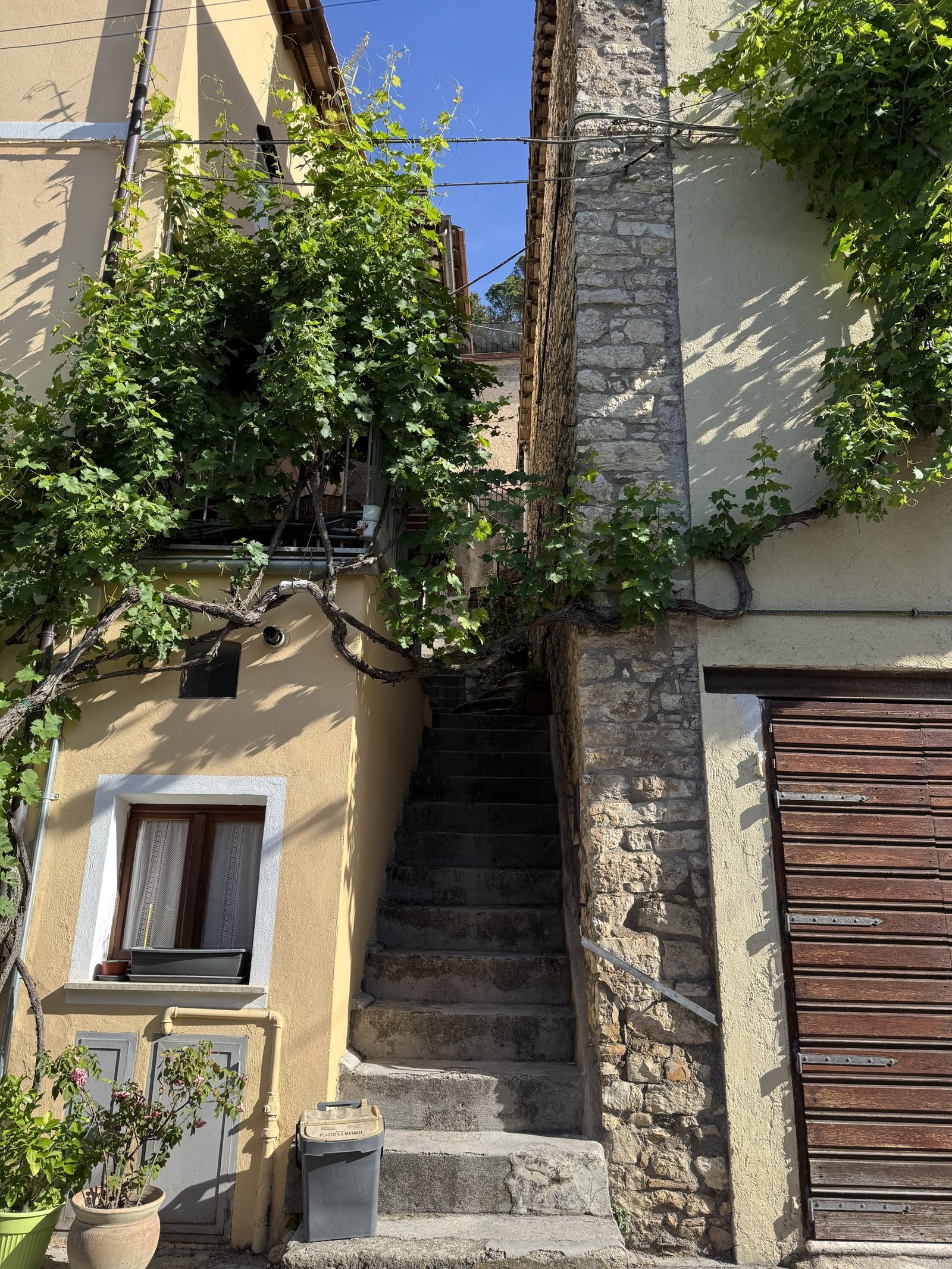 A stepped stone lane between houses in Collestatte, with a vine overhead