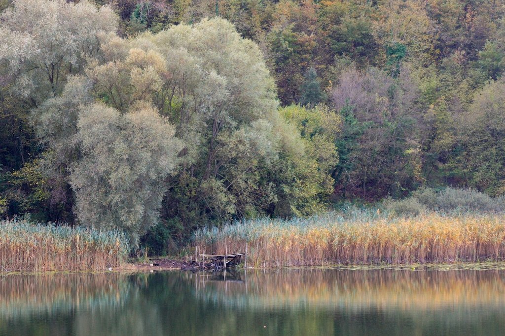 Un piccolo pontile di legno tra le canne autunnali a filo d'acqua, con gli alberi riflessi nel lago immobile
