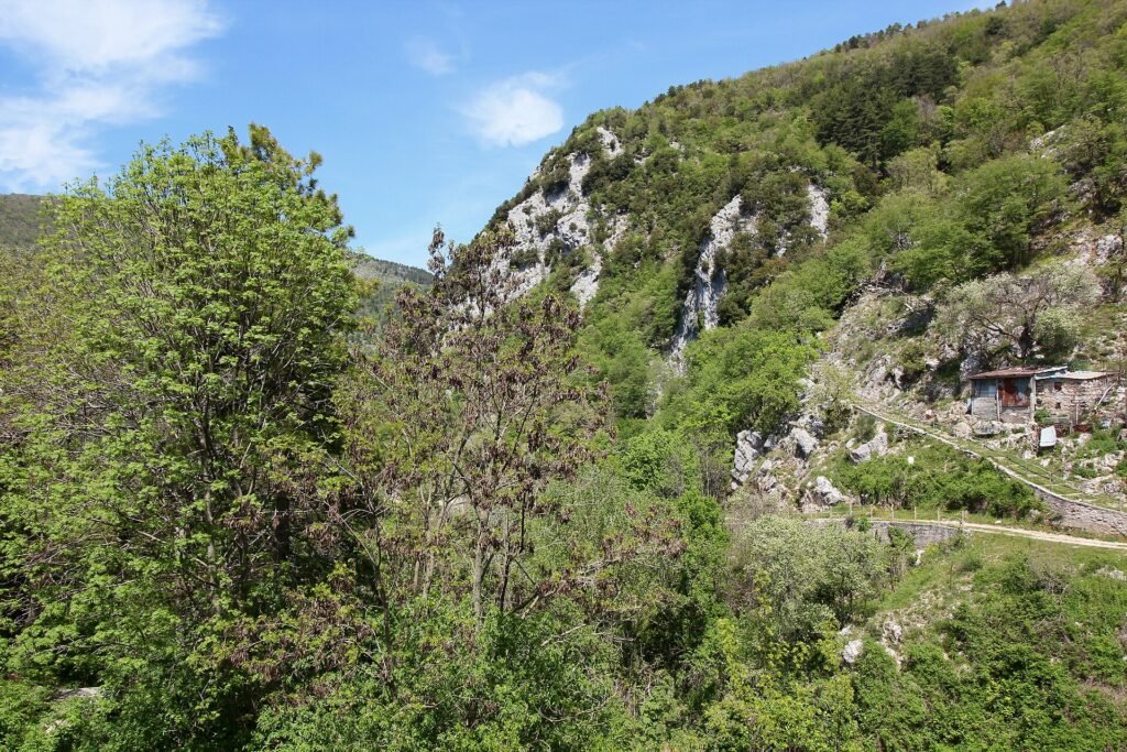 Ripido versante boscoso con affioramenti di roccia chiara sopra una stradina di valle vicino a Polino, in verde primaverile
