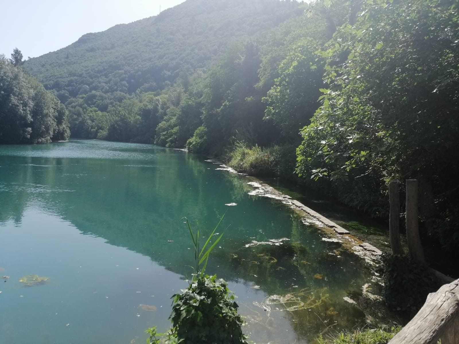 The Nera gorge with its slopes under full green woodland