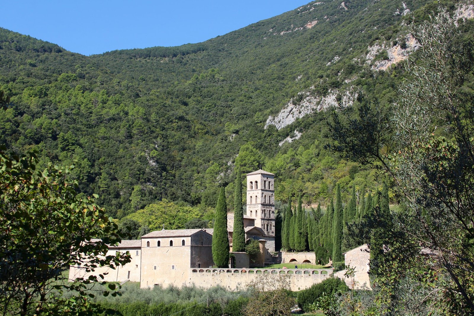 The abbey of San Pietro in Valle with its Romanesque bell tower rising among cypresses below a wooded mountain