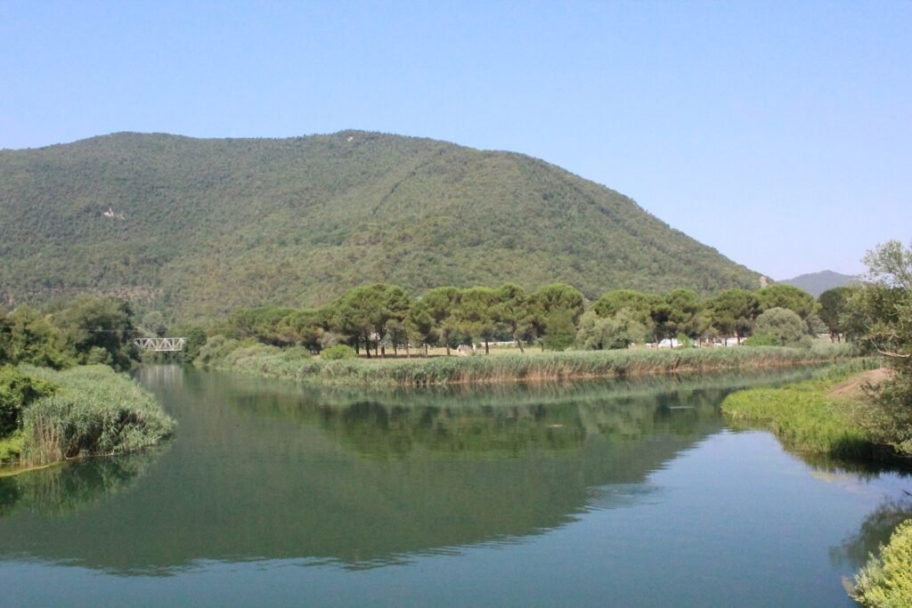 Un fiume verde e lento che sfocia tra i canneti in un lago, colline boscose dietro sotto un cielo limpido