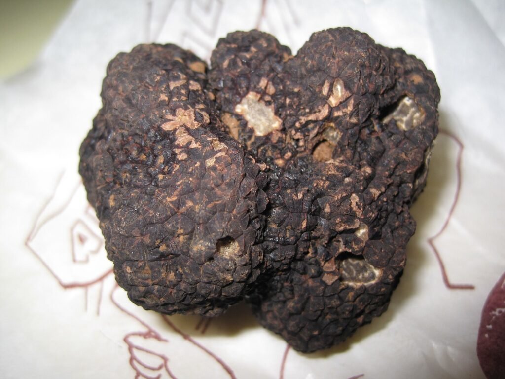 A single knobbly black truffle resting on white paper