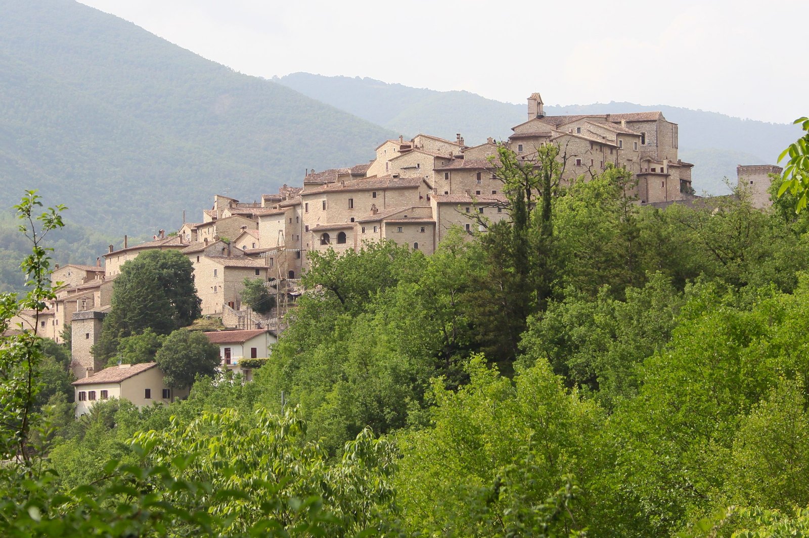 Vallo di Nera seen across the treetops, its pale stone houses packed tightly together up the hill